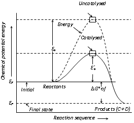 518_characteristics of catalysts.png